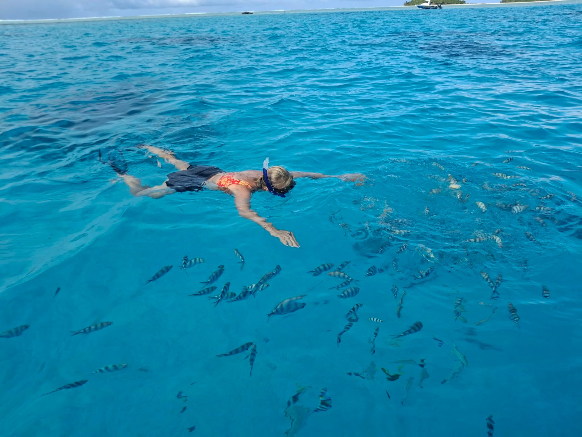 A guest snorkelling with tropical fish in the clear Aitutaki lagoon