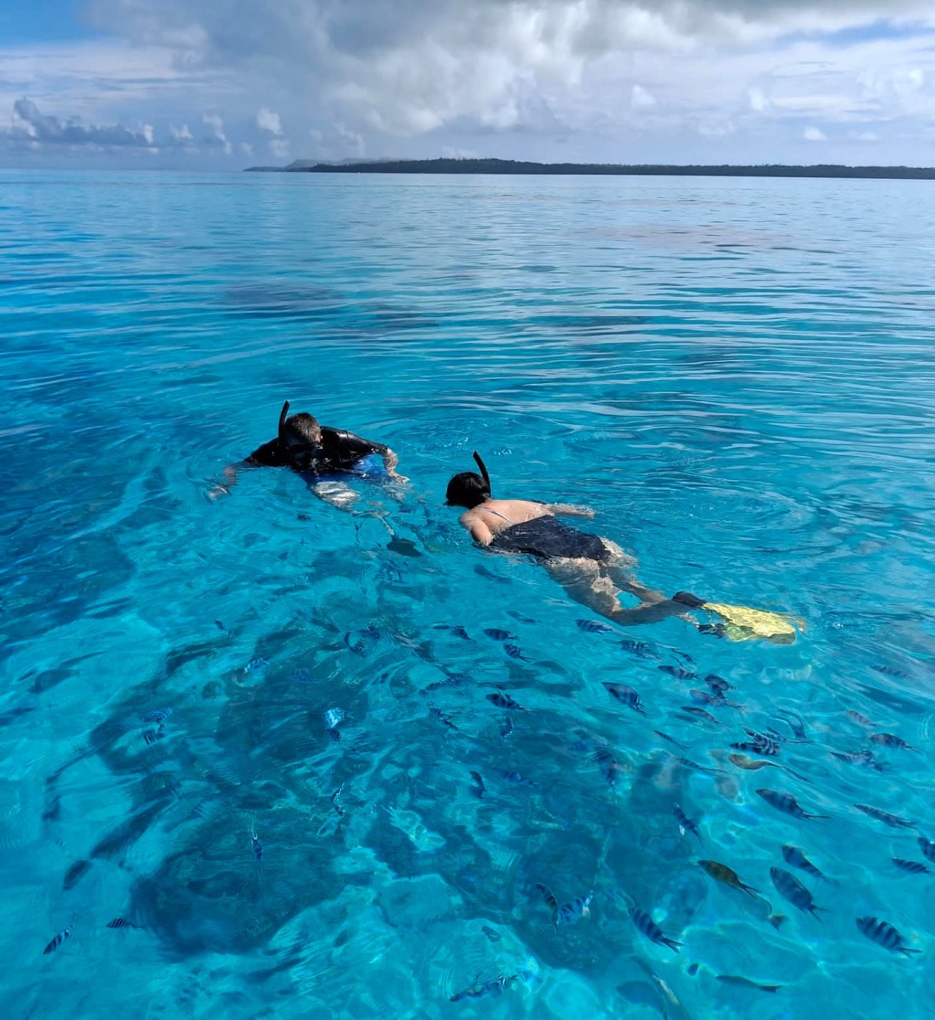 Full Day Lagoon Charter