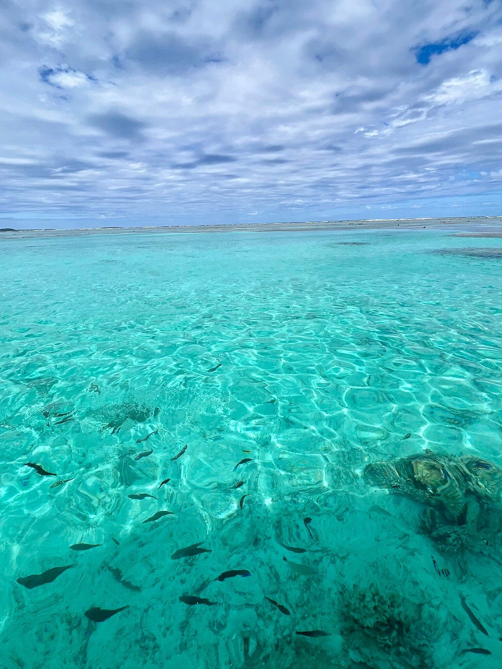 Exploring the Aitutaki lagoon with Mona's Water Taxi